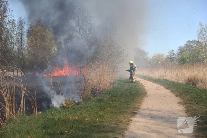 Grote natuurbrand uitgebroken in Doncksebos