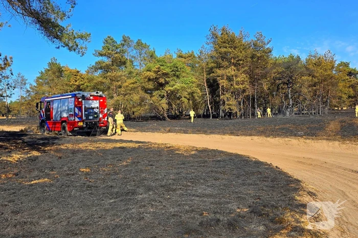 Brandweer blust smeulende resten in afgebrande heidegebied