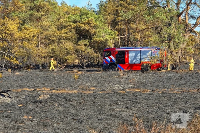 Brandweer blust smeulende resten in afgebrande heidegebied