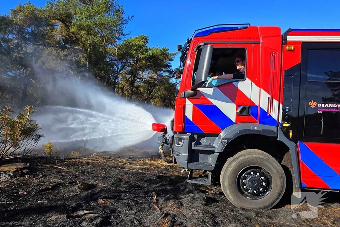 Brandweer blust smeulende resten in afgebrande heidegebied