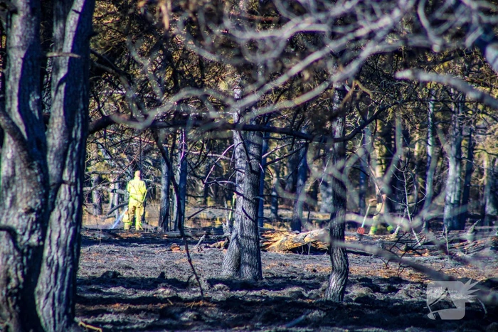 Brandweer blust smeulende resten in afgebrande heidegebied