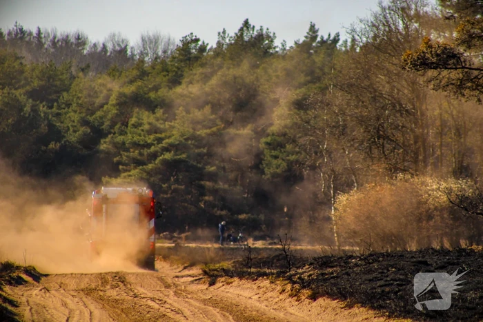 Brandweer blust smeulende resten in afgebrande heidegebied