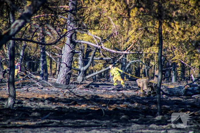 brand koeweg ede