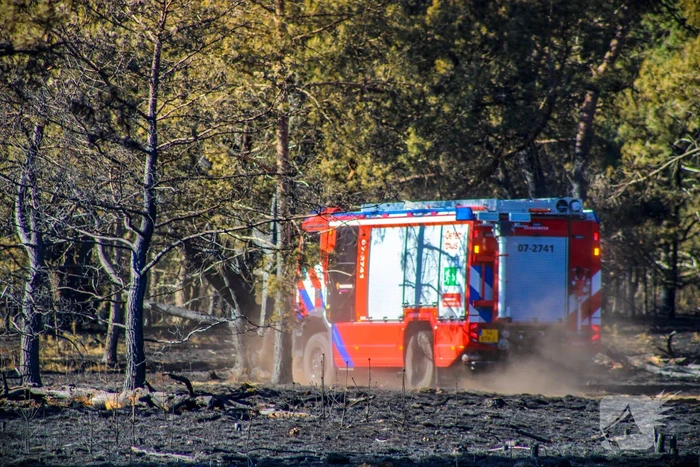Brandweer blust smeulende resten in afgebrande heidegebied