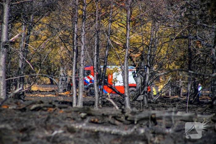 Brandweer blust smeulende resten in afgebrande heidegebied