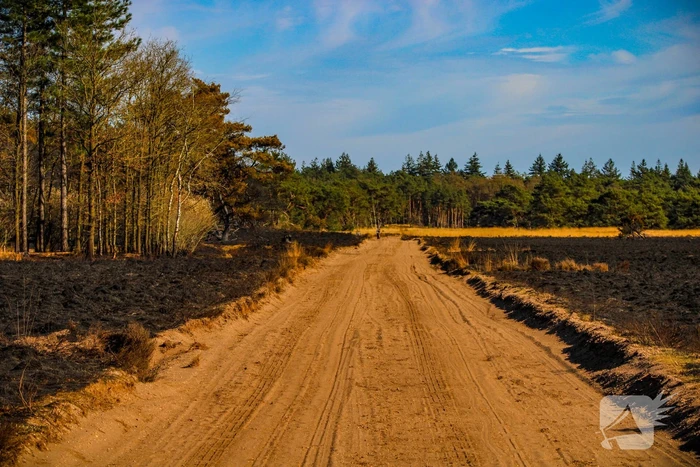 Brandweer blust smeulende resten in afgebrande heidegebied