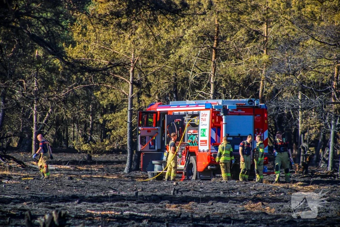 Brandweer blust smeulende resten in afgebrande heidegebied