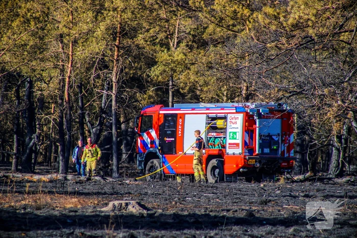 Brandweer blust smeulende resten in afgebrande heidegebied