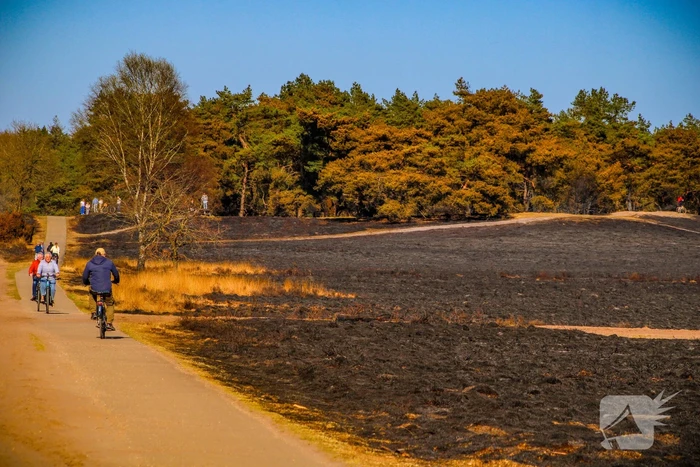 Brandweer blust smeulende resten in afgebrande heidegebied
