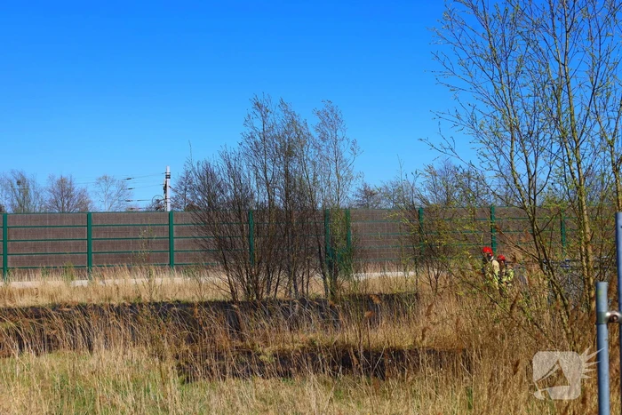 Brand in riet geblust door brandweer