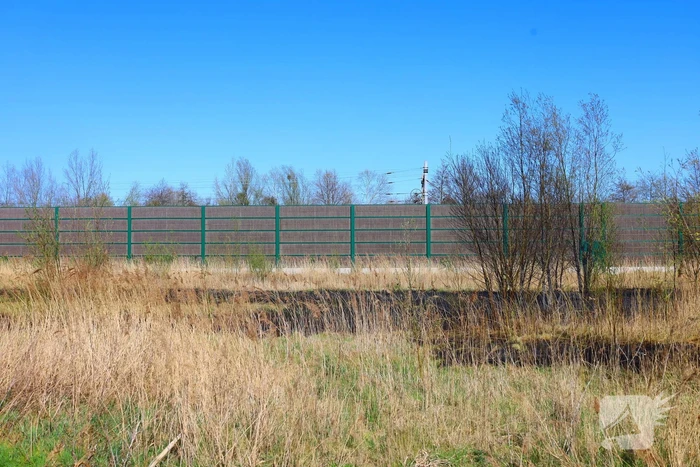 Brand in riet geblust door brandweer