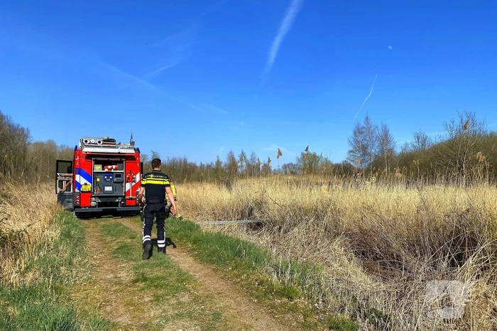 Veel rookontwikkeling bij brand in rietkraag