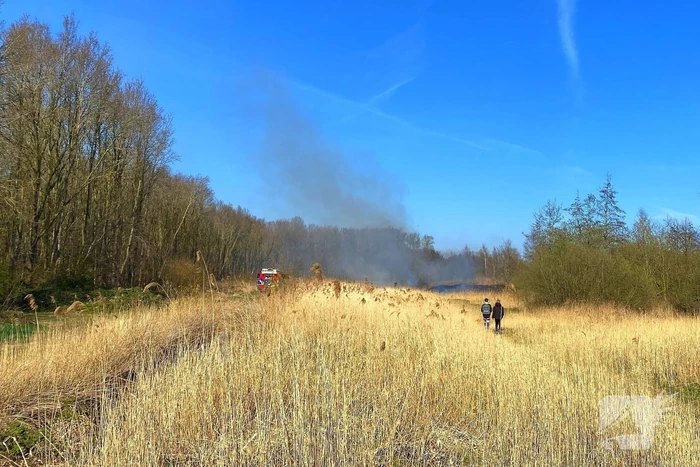 Veel rookontwikkeling bij brand in rietkraag