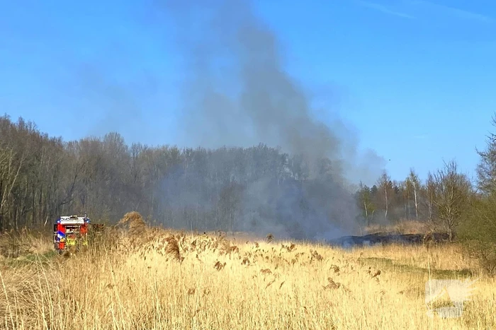 Veel rookontwikkeling bij brand in rietkraag