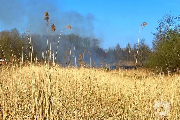 Veel rookontwikkeling bij brand in rietkraag