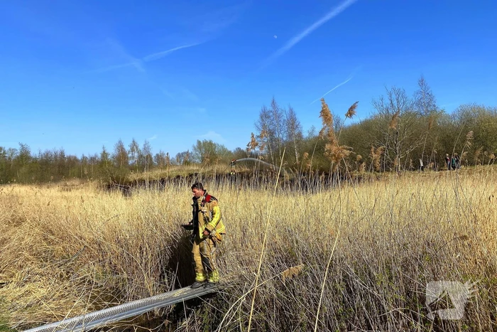 Veel rookontwikkeling bij brand in rietkraag