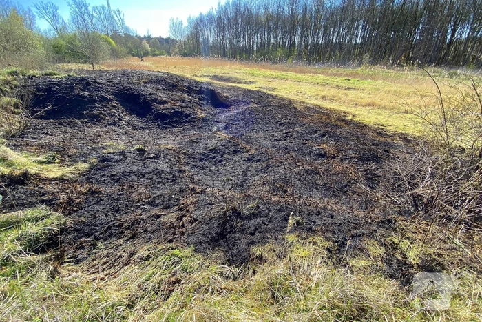 Veel rookontwikkeling bij brand in rietkraag