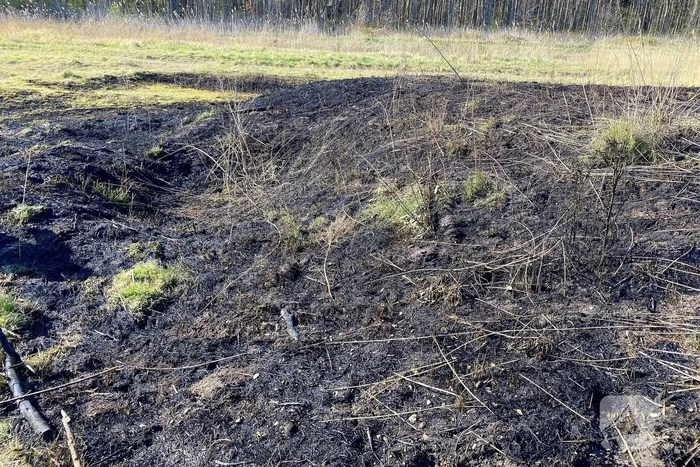 Veel rookontwikkeling bij brand in rietkraag