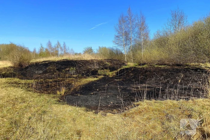 Veel rookontwikkeling bij brand in rietkraag