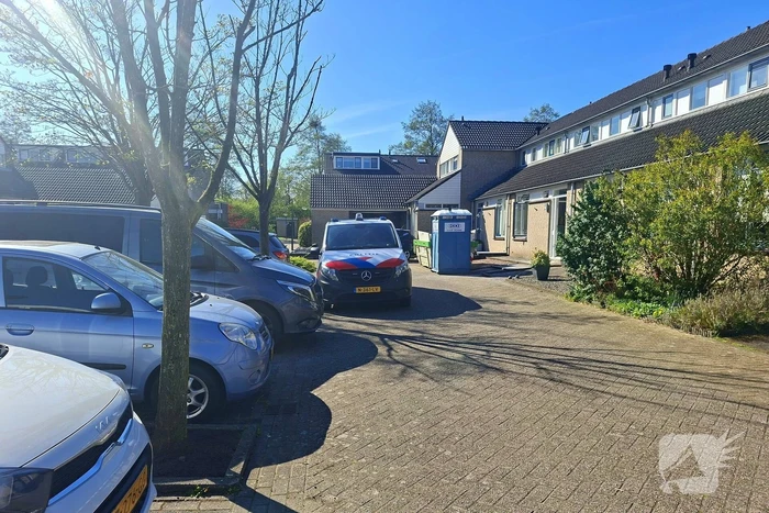 Overvallers verkleed als postbezorger mishandelen vrouw en gaan ervandoor met onbekende buit