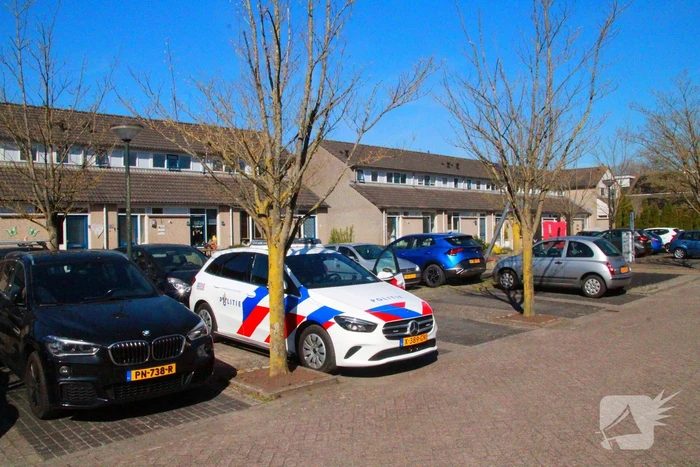 Overvallers verkleed als postbezorger mishandelen vrouw en gaan ervandoor met onbekende buit