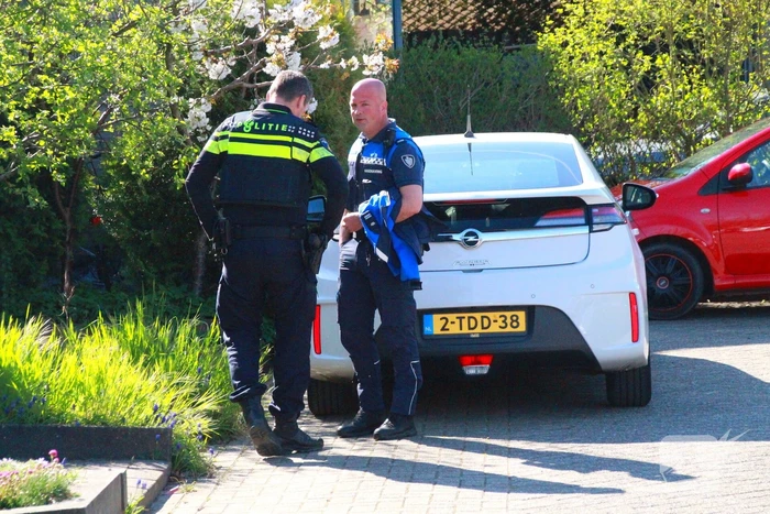 Overvallers verkleed als postbezorger mishandelen vrouw en gaan ervandoor met onbekende buit