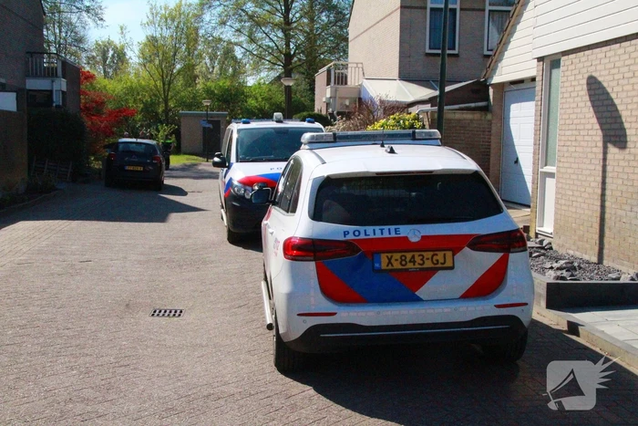 Overvallers verkleed als postbezorger mishandelen vrouw en gaan ervandoor met onbekende buit