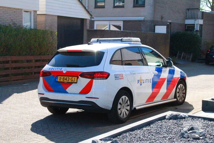 Overvallers verkleed als postbezorger mishandelen vrouw en gaan ervandoor met onbekende buit