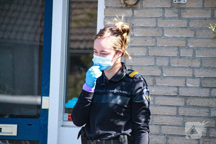 Overvallers verkleed als postbezorger mishandelen vrouw en gaan ervandoor met onbekende buit