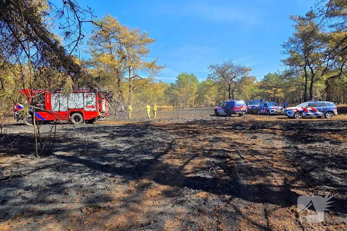Rook waargenomen op heide brandweer blust brand