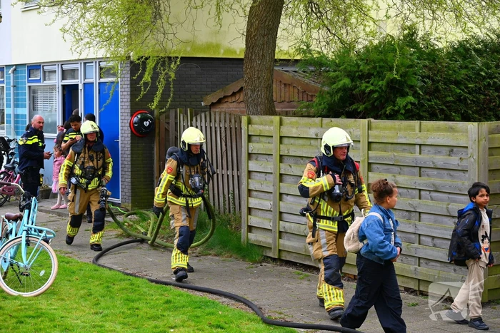 Brand in coniferenhaag snel onder controle