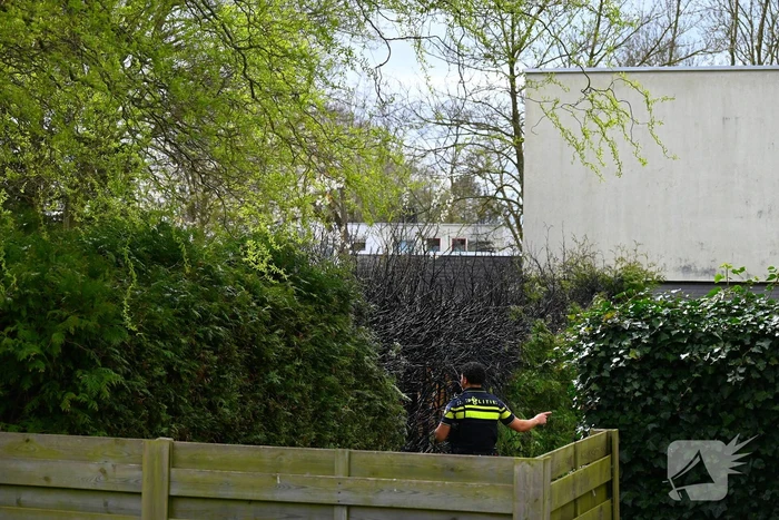 Brand in coniferenhaag snel onder controle