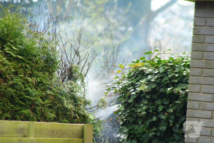 Brand in coniferenhaag snel onder controle