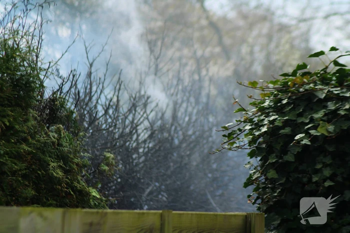 Brand in coniferenhaag snel onder controle