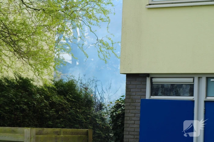 Brand in coniferenhaag snel onder controle