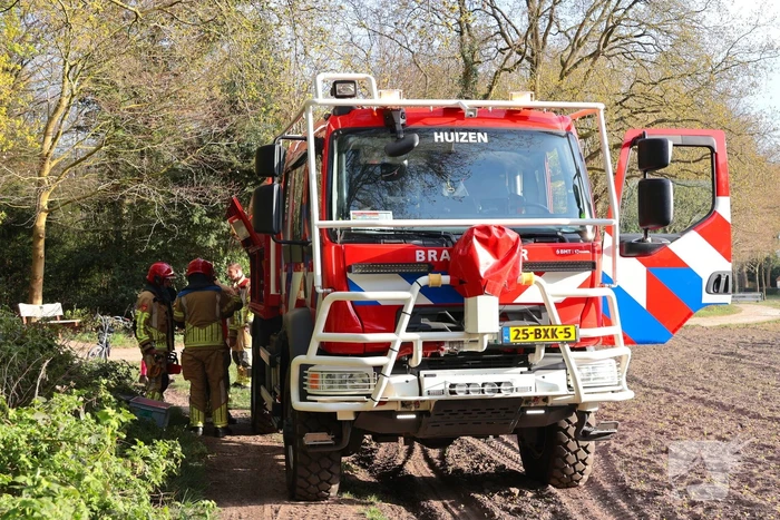 Boom in brand in het bos