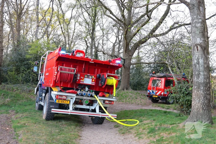 Boom in brand in het bos