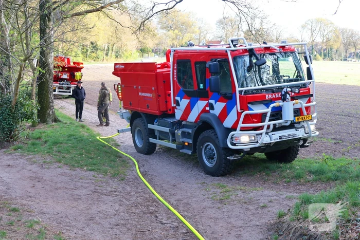 Boom in brand in het bos