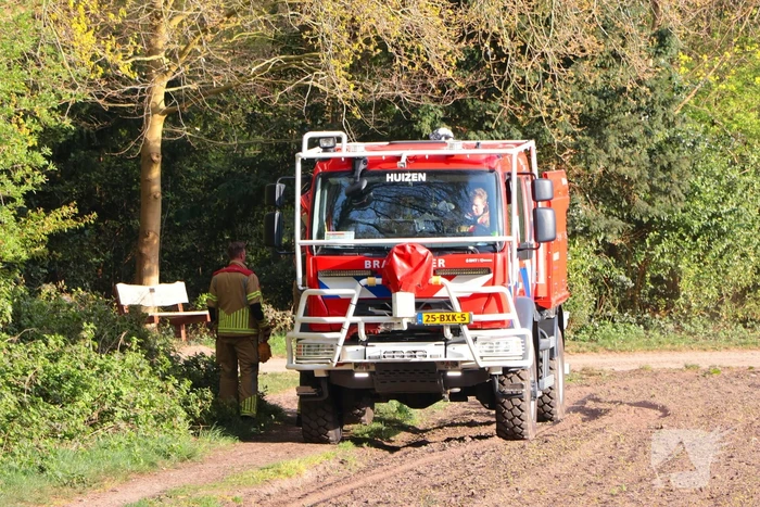 Boom in brand in het bos