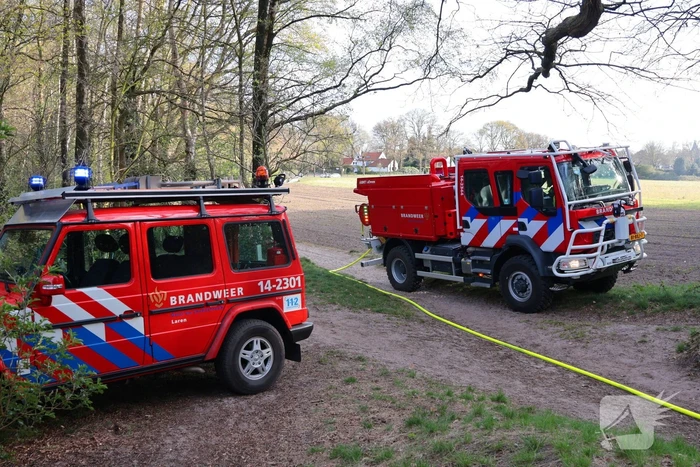 Boom in brand in het bos