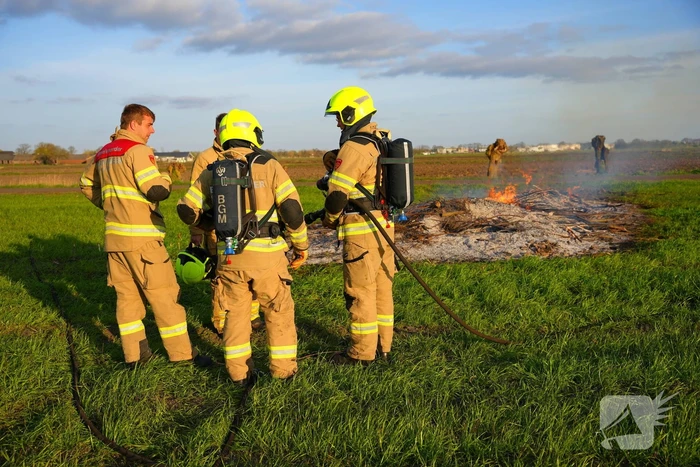 Snoeihout in vlammen, boom snel geblust
