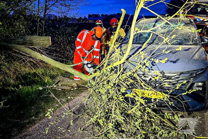 Omgevallen boom raakt auto