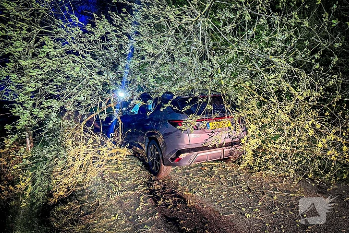 Omgevallen boom raakt auto