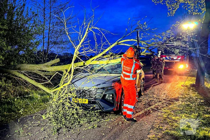 Omgevallen boom raakt auto