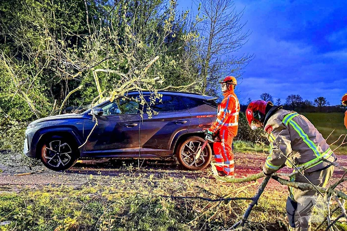 Omgevallen boom raakt auto