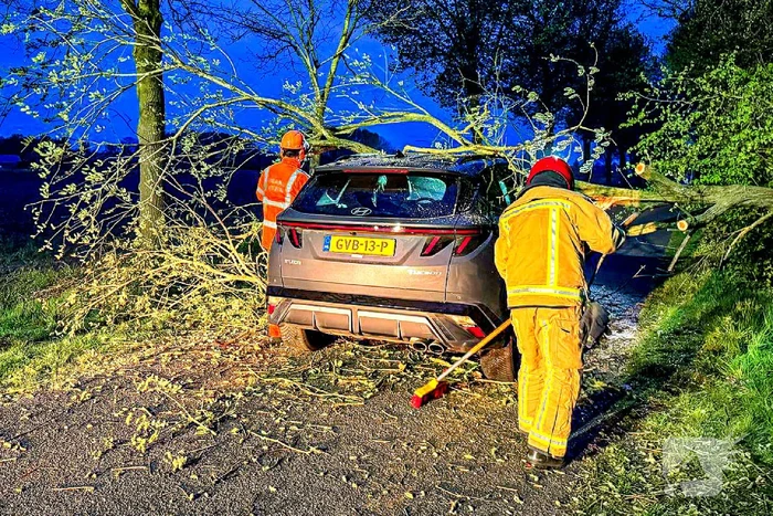 Omgevallen boom raakt auto