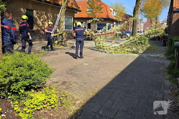 natuur jan philipsweg gouda