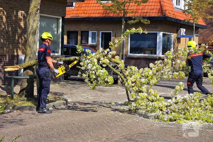 Verhuiswagen raakt tak, brandweer opgeroepen