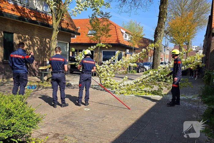 Verhuiswagen raakt tak, brandweer opgeroepen