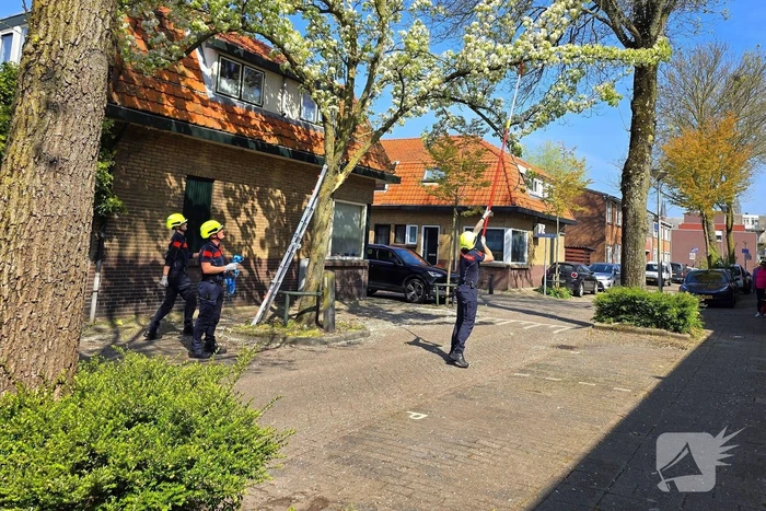 Verhuiswagen raakt tak, brandweer opgeroepen